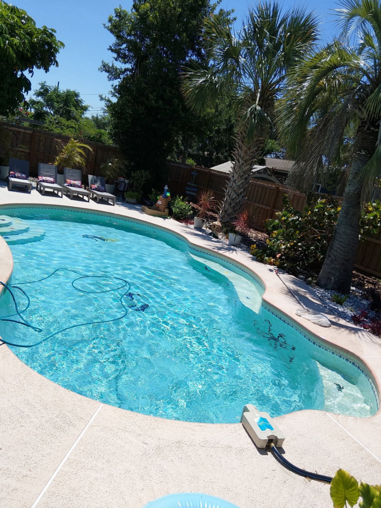 Backyard residential pool care in Clearwater