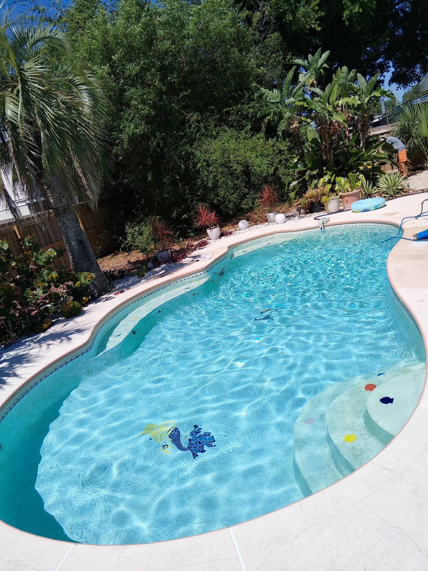 Mosaic backyard pool in Florida after weekly service