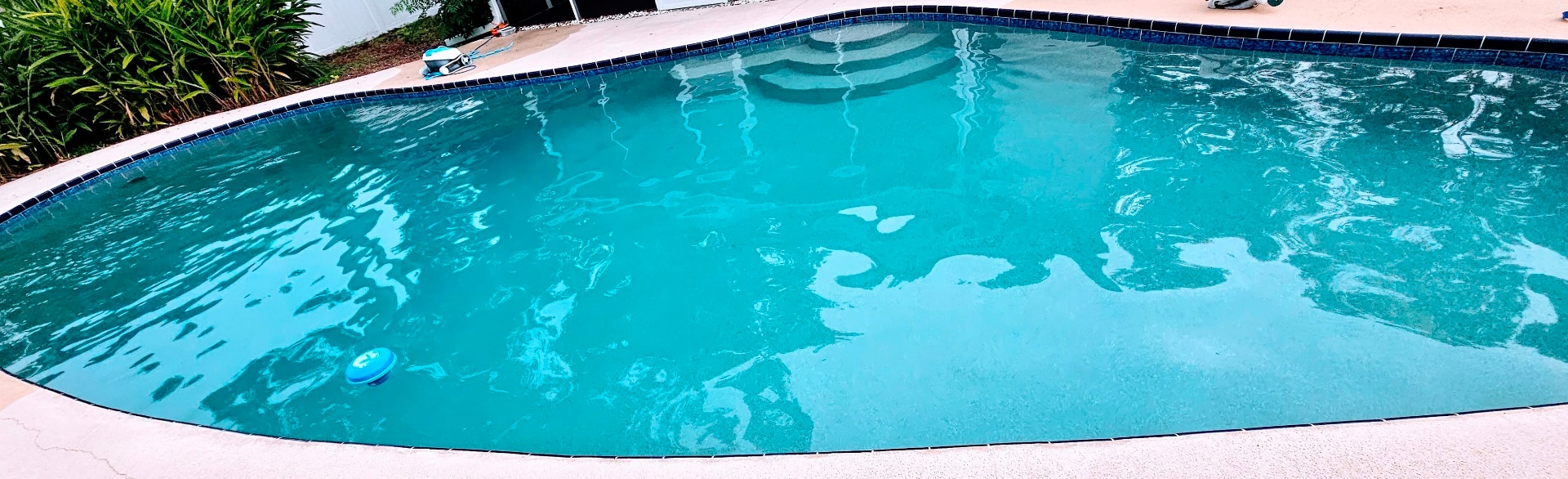Freshly balanced backyard pool in Clearwater, FL